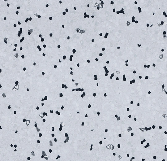 450007 grey sky