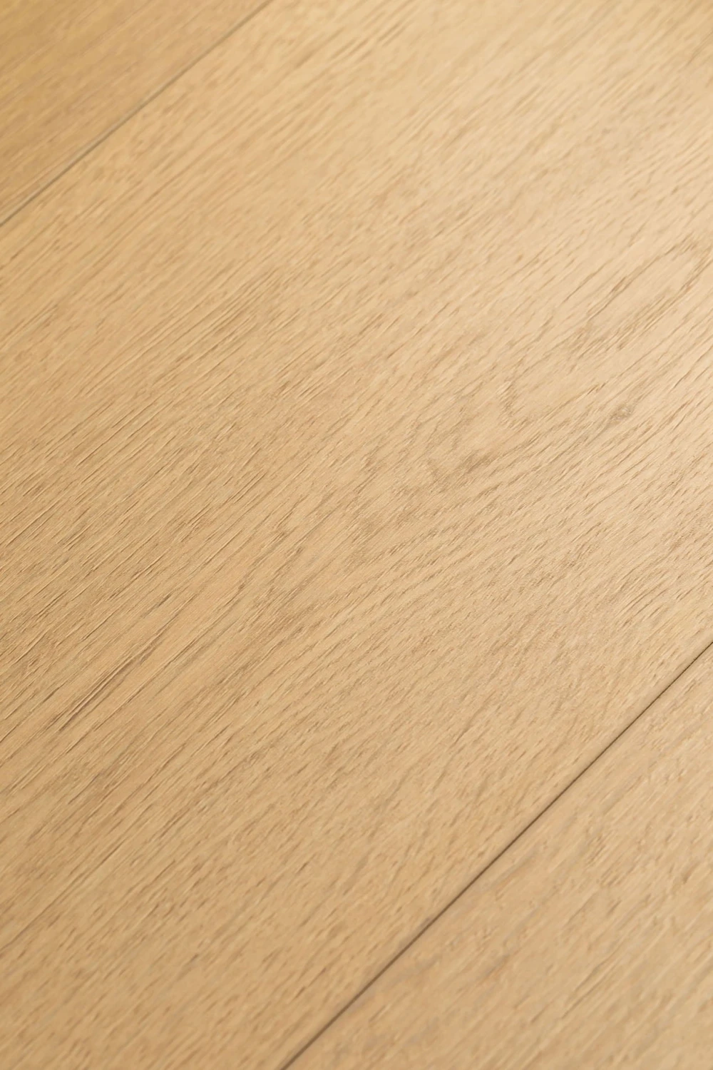 Дуб Хакон | Hacon oak 1F427