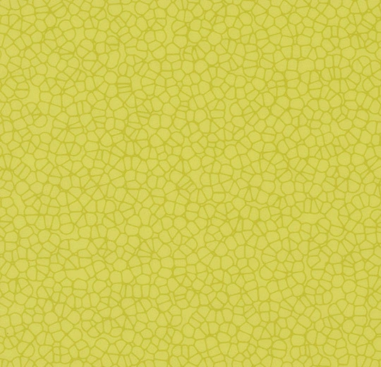 90758T4319 citrus halo contour