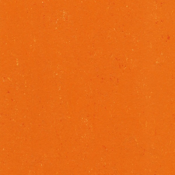 131-170 kumquat orange