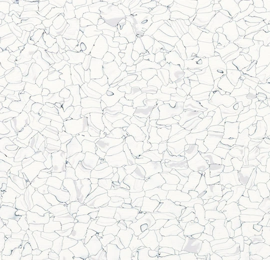 250201 everest