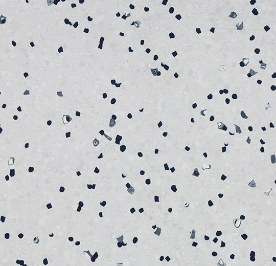 450017 ivory