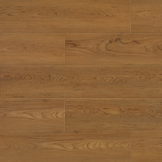 0338 Bedgebury Oak
